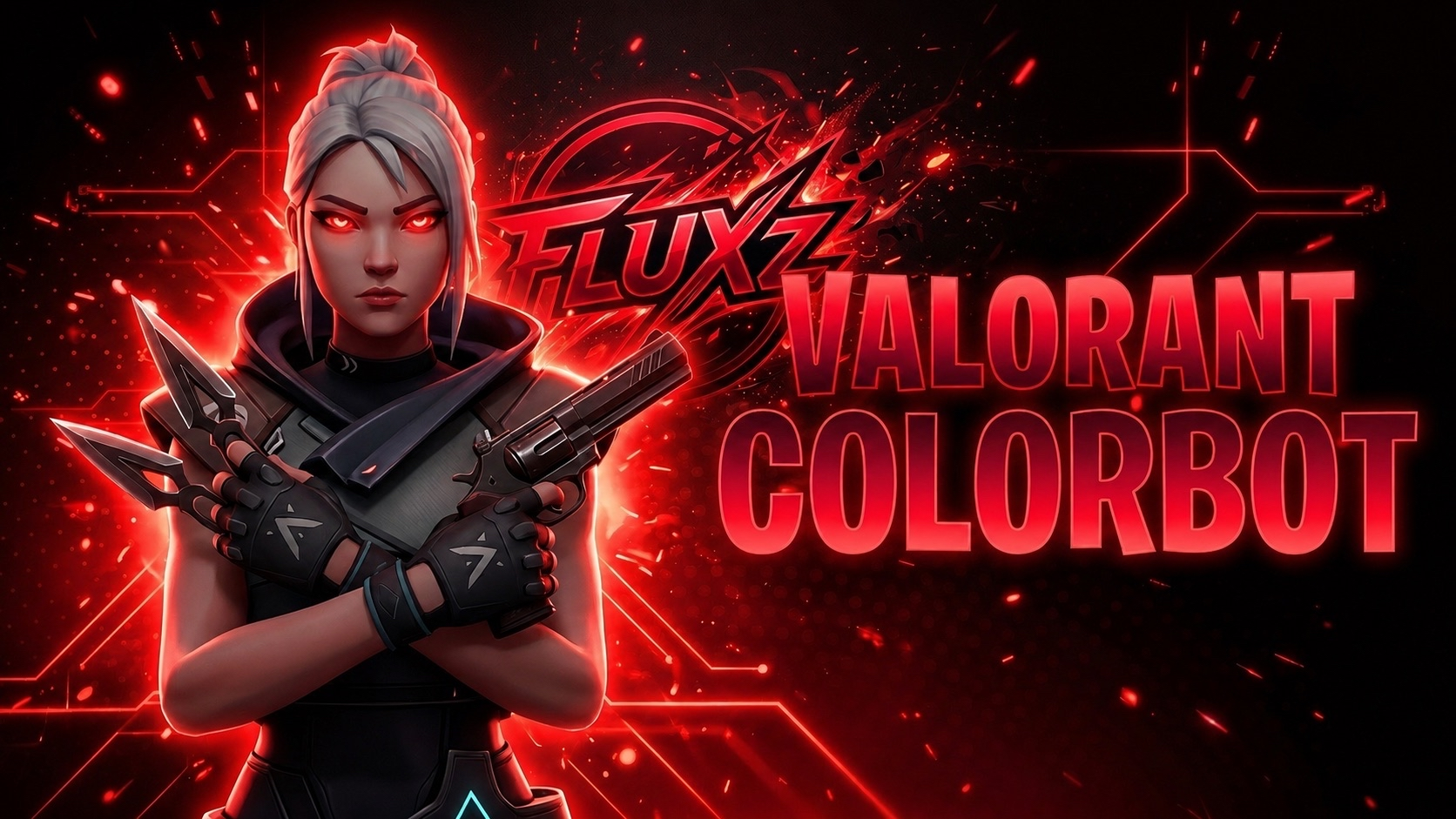 FLUXz Valorant Colorbot